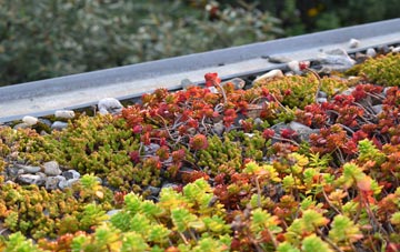 the cost of Ballantrae green roof installation