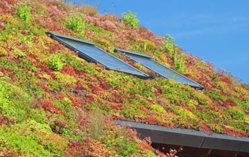 Ballantrae living roof systems