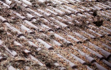 Ballantrae roof cleaning companies