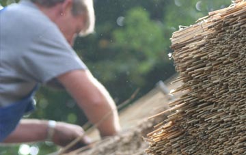 professional Ballantrae thatchers