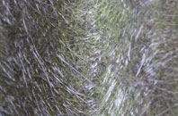 Ballantrae fibreglass roof work