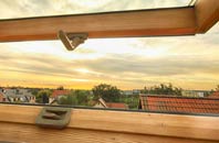 rated Ballantrae roof window companies